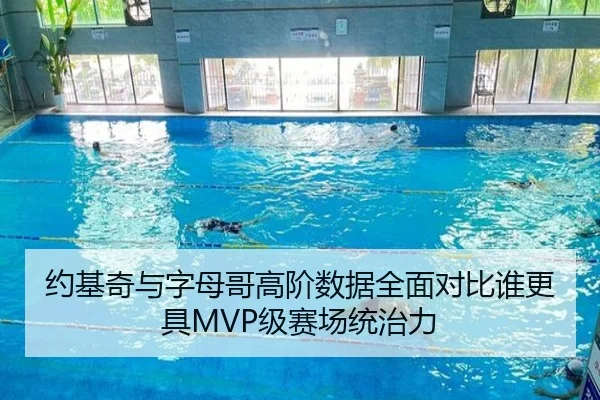 约基奇与字母哥高阶数据全面对比谁更具MVP级赛场统治力