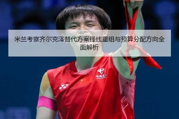 mi-lan-kao-cha-qi-er-ke-ze-ti-dai-fang-an-feng-xian-chong-zu-yu-yu-suan-fen-pei-fang-xiang-quan-mian-jie-xi-2-524.jpg