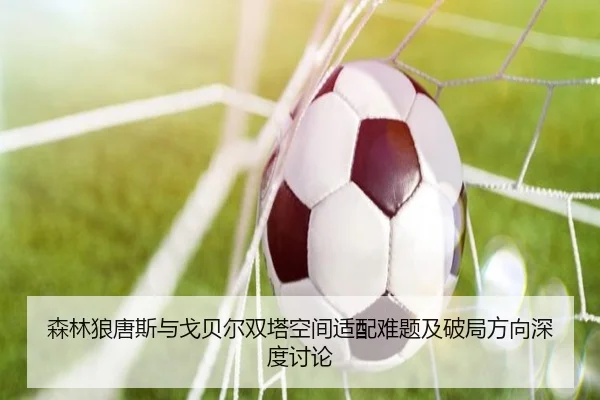 森林狼唐斯与戈贝尔双塔空间适配难题及破局方向深度讨论
